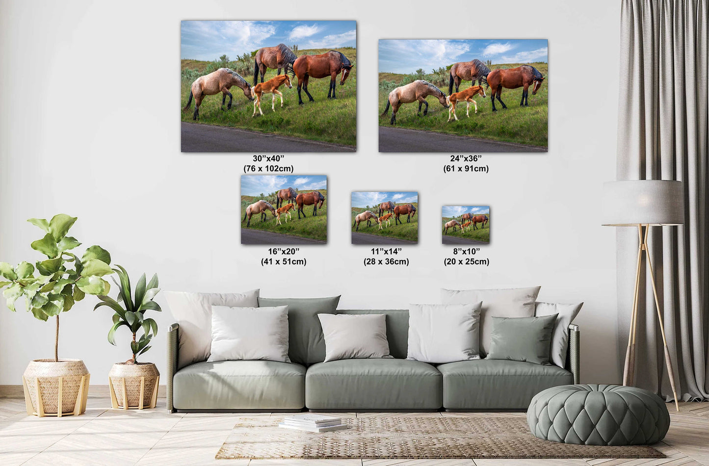 Prairie Generations: Horse Family Grazing in Theodore Roosevelt Park Metal Acrylic Print North Dakota Wall Art