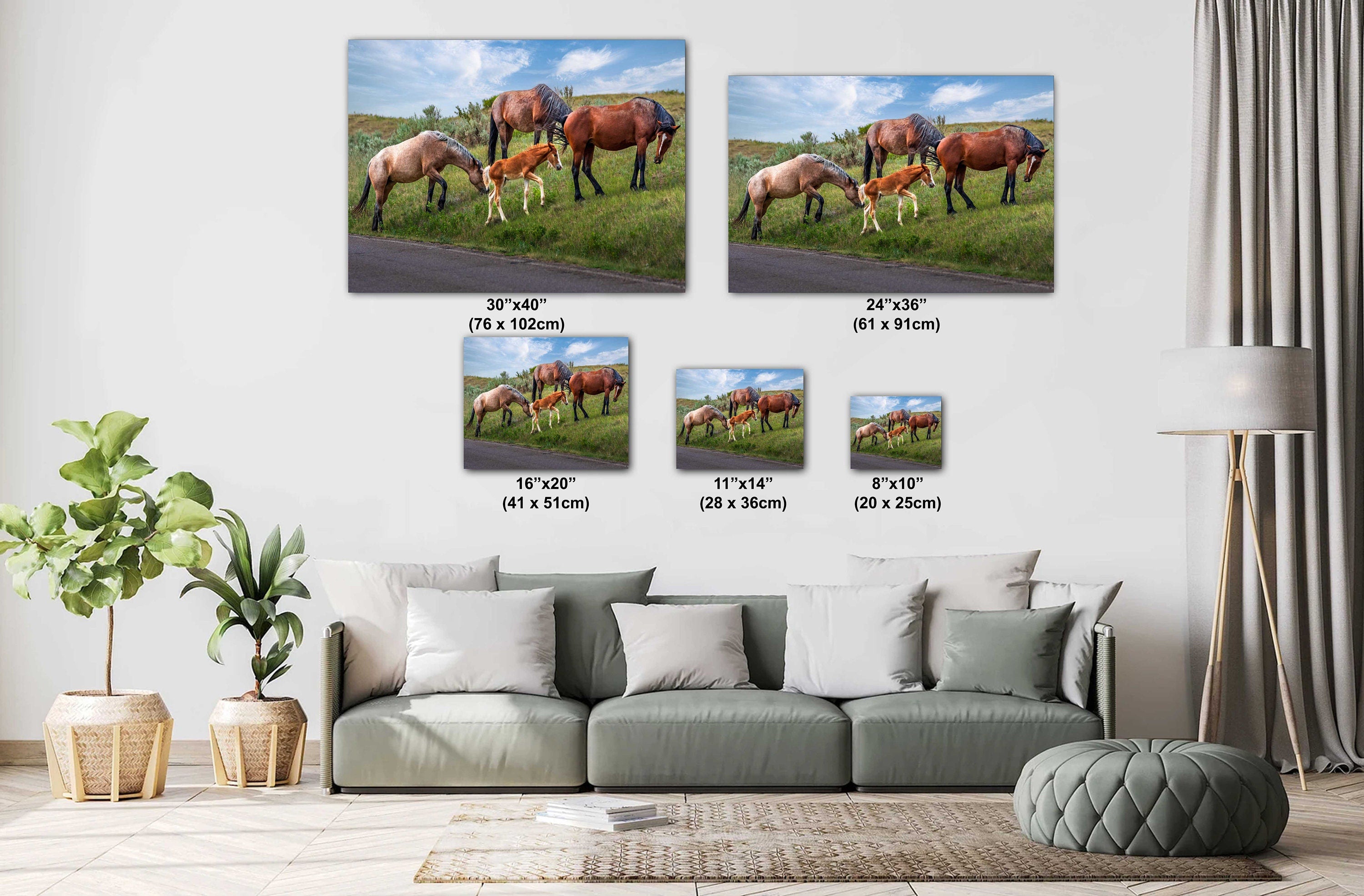 Theodore Roosevelt Park Horse Family: North Dakota Photography Wall Art