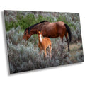 Wild Horses Theodore Roosevelt National Park Photography Wall Art