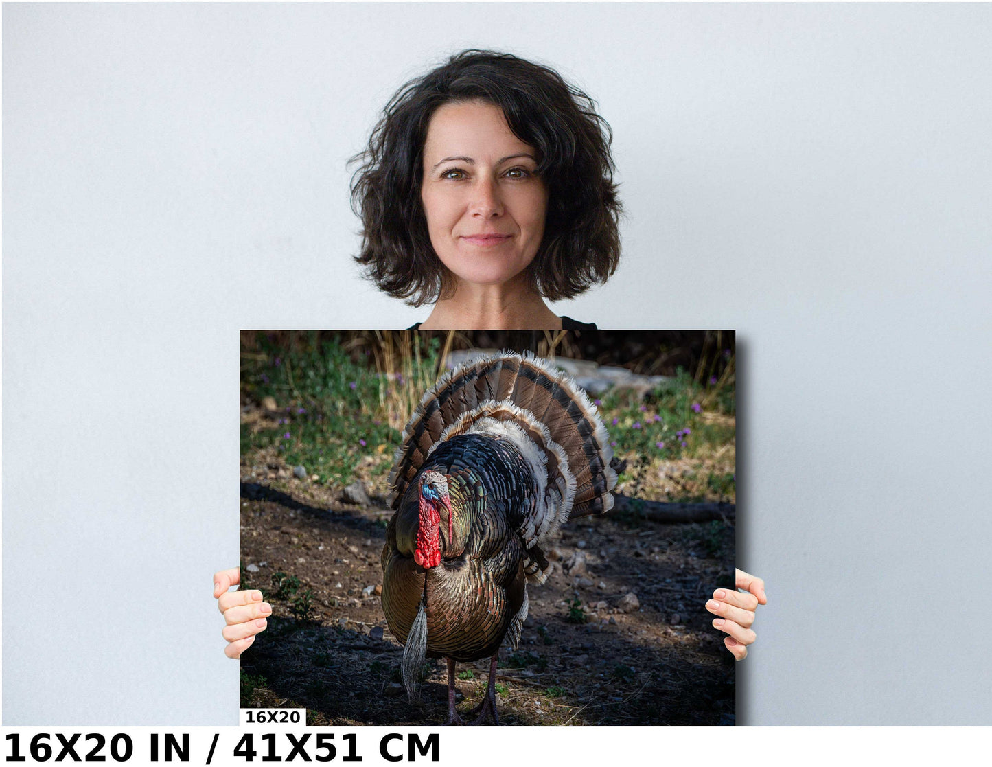 The Dandy Gobbler: Capturing the Splendor of Turkey Plumage Wall Art Metal Canvas Print Bronze Turkey Photography
