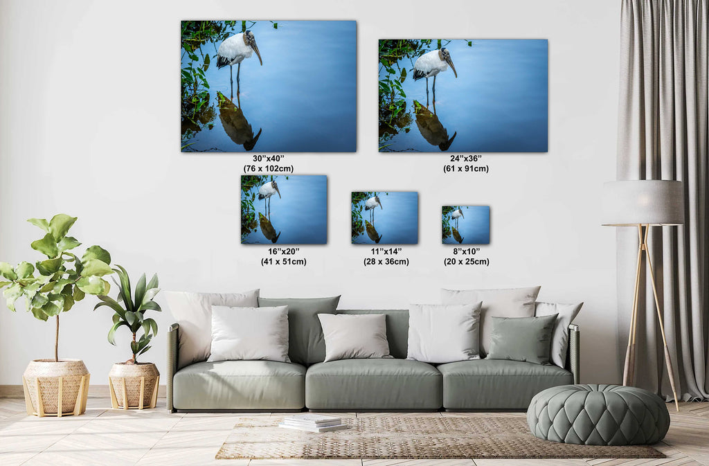 Chillin’: Wood Stork Bird Captured in Water's Reflection Wall Art Metal Aluminum Print Bird Photograph