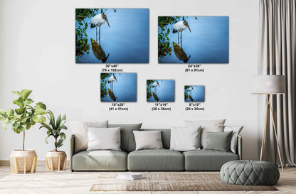 Chillin’: Wood Stork Bird Captured in Water's Reflection Wall Art Metal Aluminum Print Bird Photograph