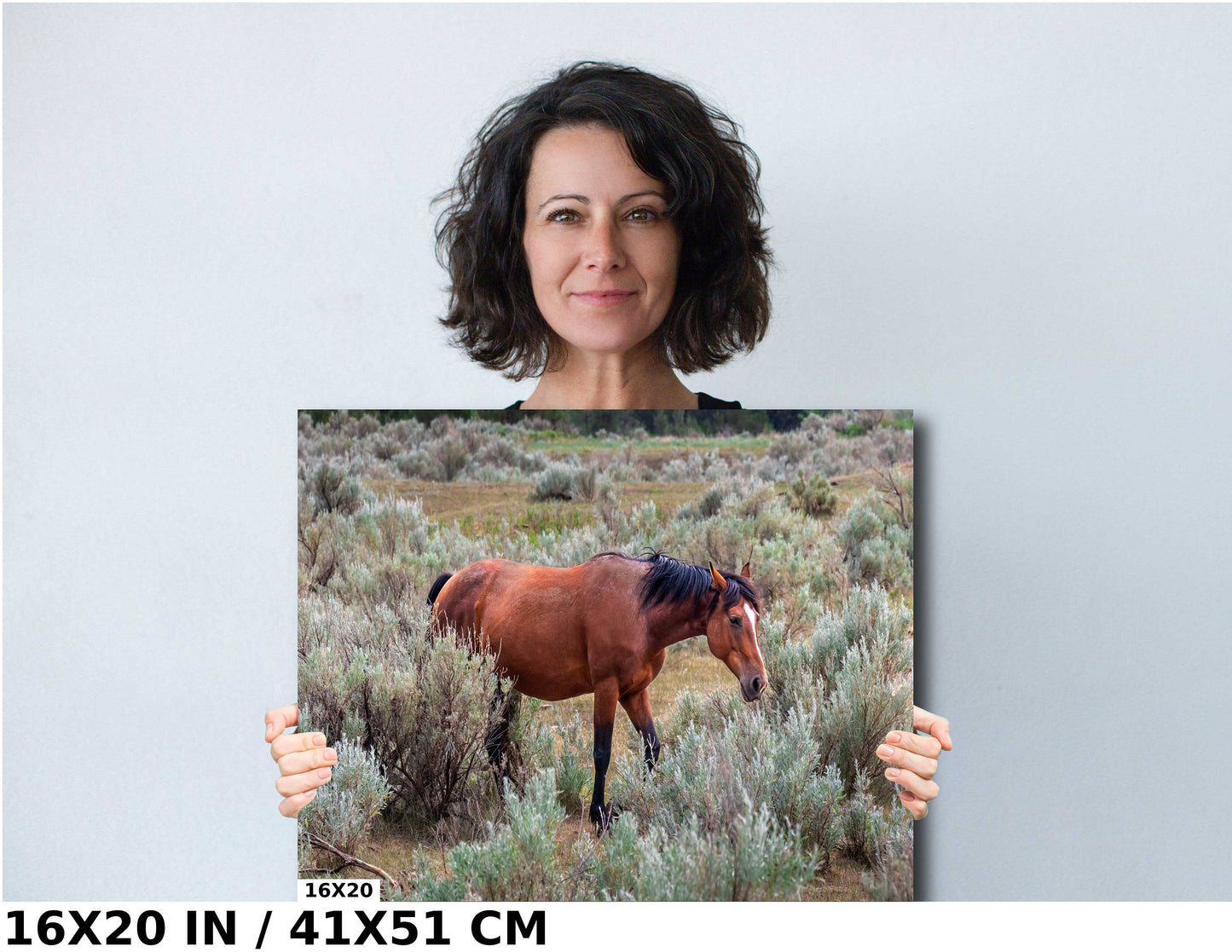 Wild Stallion: Theodore Roosevelt National Park Photography Wall Art