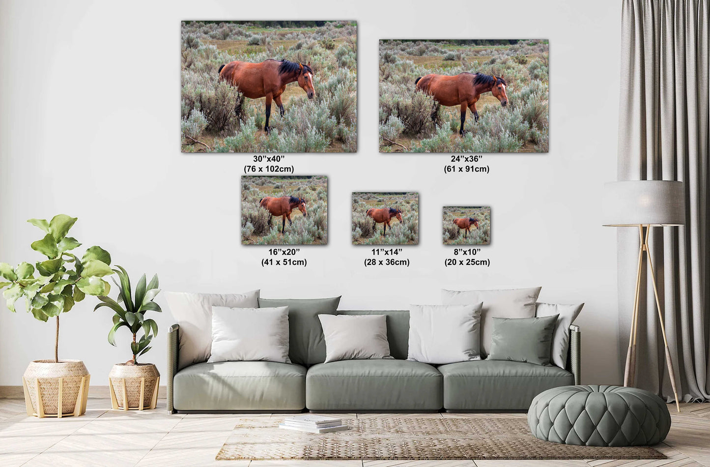 Wild Stallion: Theodore Roosevelt National Park Photography Wall Art