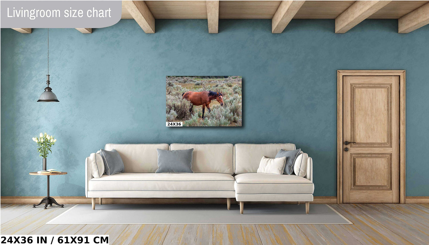 Wild Stallion: Theodore Roosevelt National Park Photography Wall Art