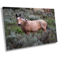 Wild Stallion Theodore Roosevelt Park, North Dakota Photography Wall Art