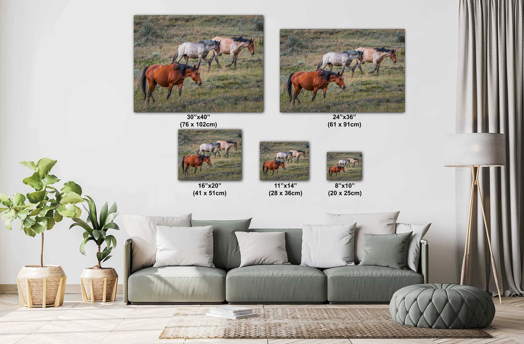Wild Horses: Theodore Roosevelt National Park Photography Wall Art