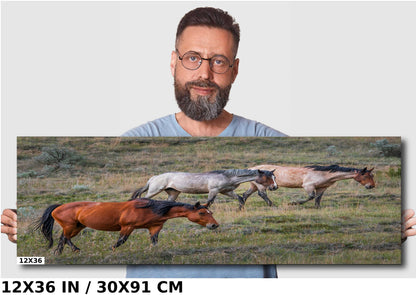 Prairie Trio: Horses in Perfect Step at Theodore Roosevelt Park National Park Metal Acrylic Print North Dakota Wall Art