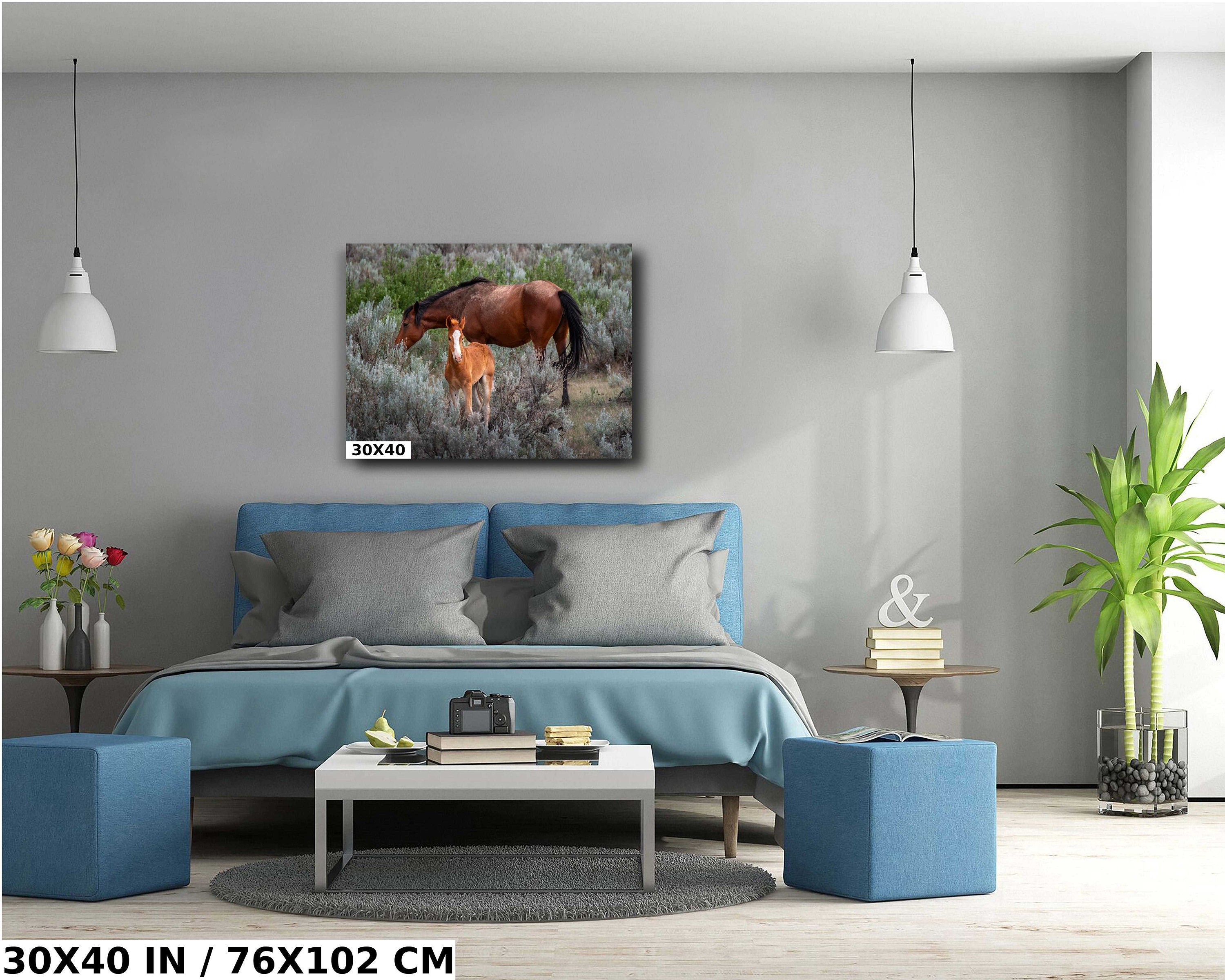 Wild Horses Theodore Roosevelt National Park Photography Wall Art
