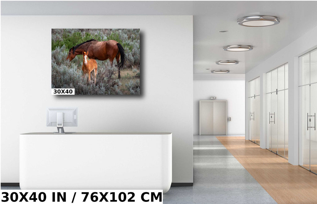 Wild Horses Theodore Roosevelt National Park Photography Wall Art
