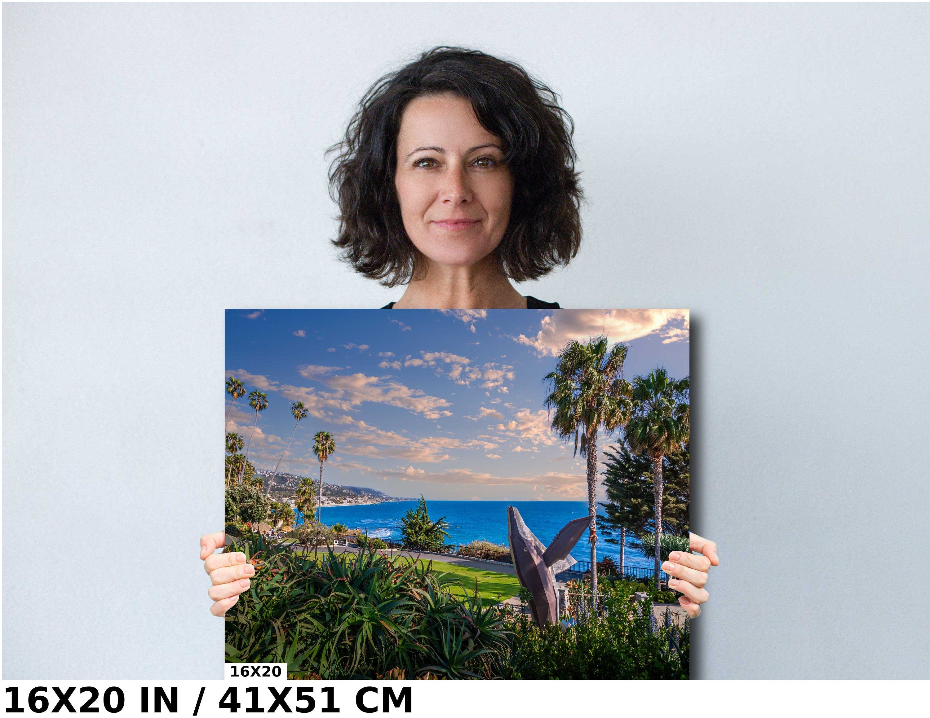 Laguna Beach Whale Statue Seascape - California Wall Art