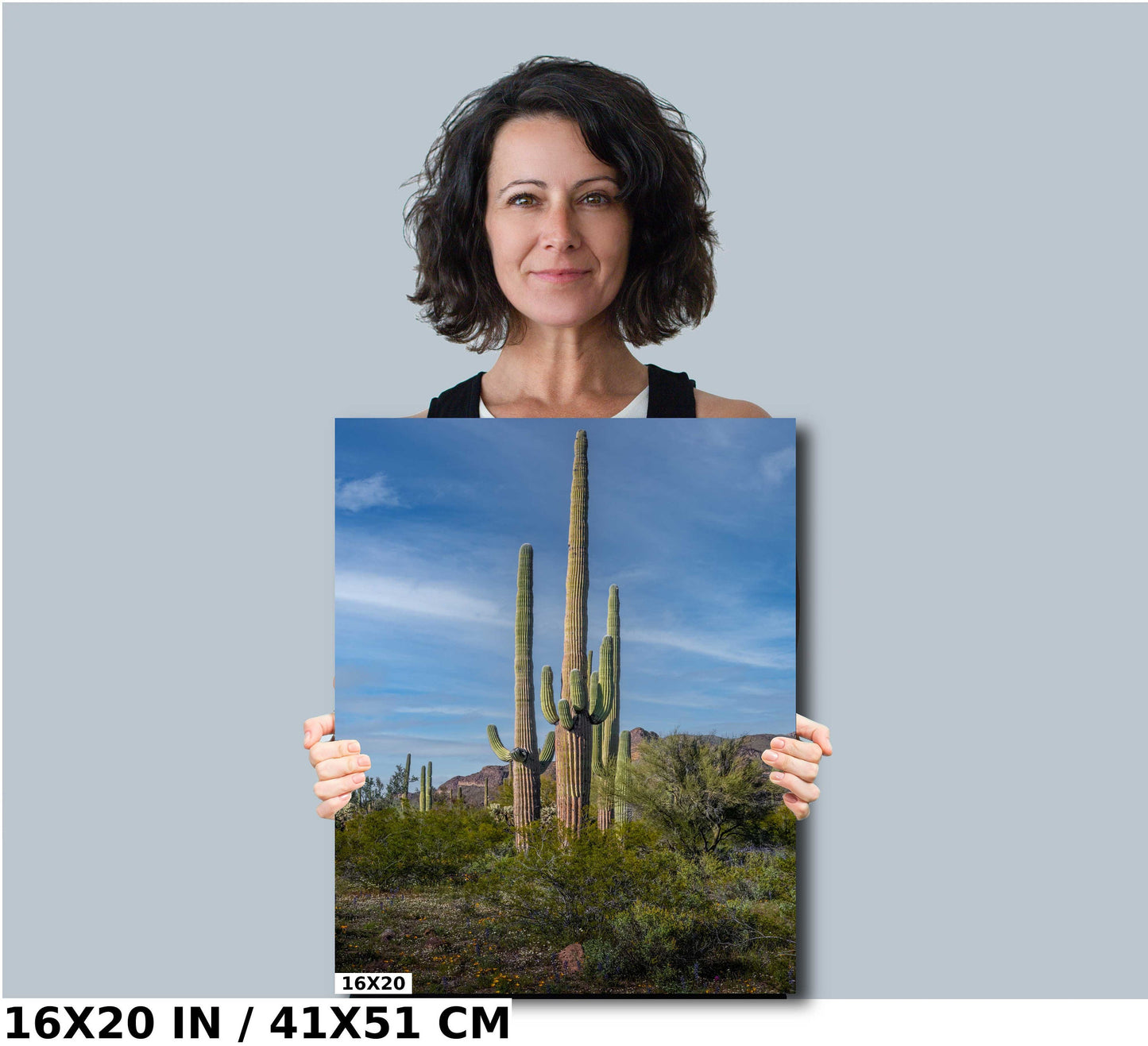 Arizona Poppies: Picacho Peak Wildflower Landscape Photography Wall Art