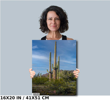 Arizona Poppies: Picacho Peak Wildflower Landscape Photography Wall Art