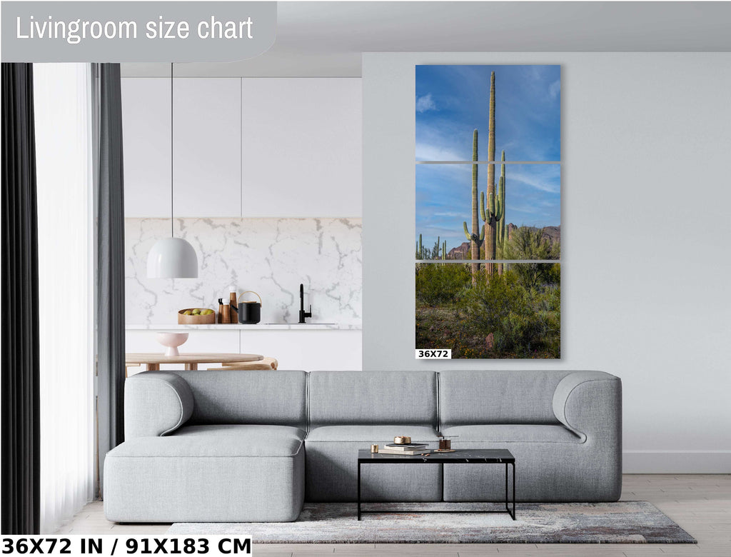 Arizona Poppies: Picacho Peak Wildflower Landscape Photography Wall Art
