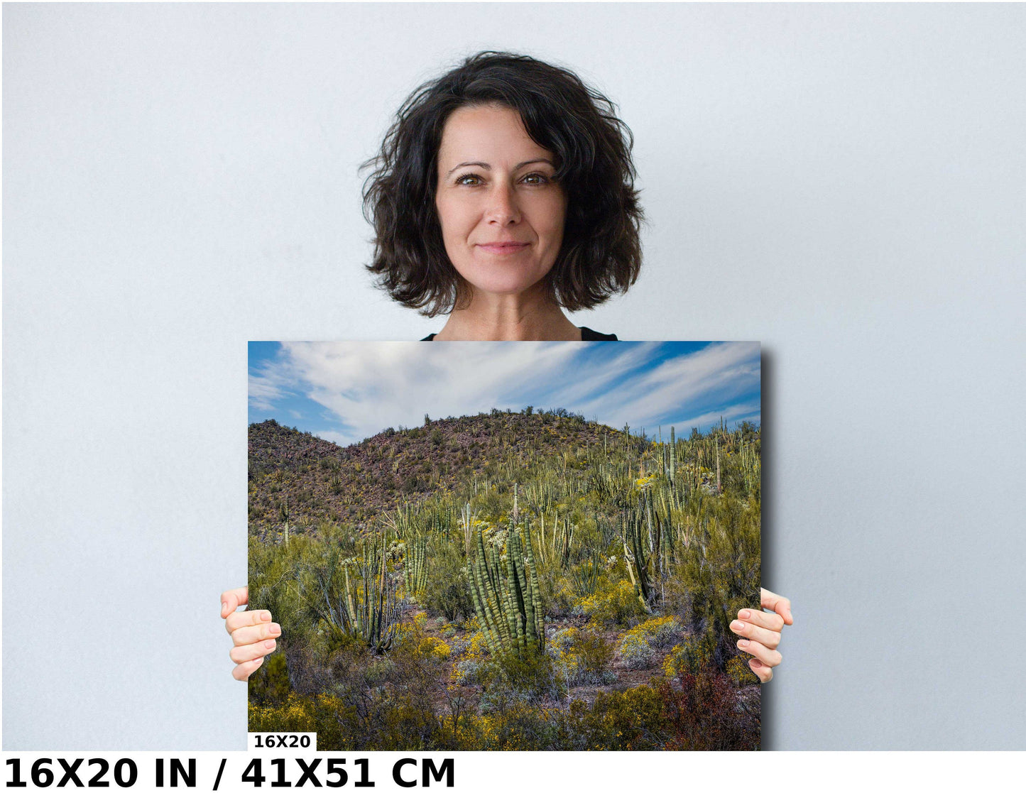 Desert Bouquet: Tiger Tailed Organ Pipe National Monument Cactus and Springtime Wildflowers Wall Art
