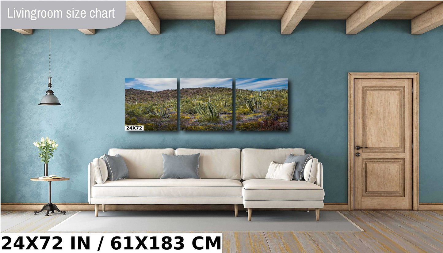Desert Bouquet: Tiger Tailed Organ Pipe National Monument Cactus and Springtime Wildflowers Wall Art