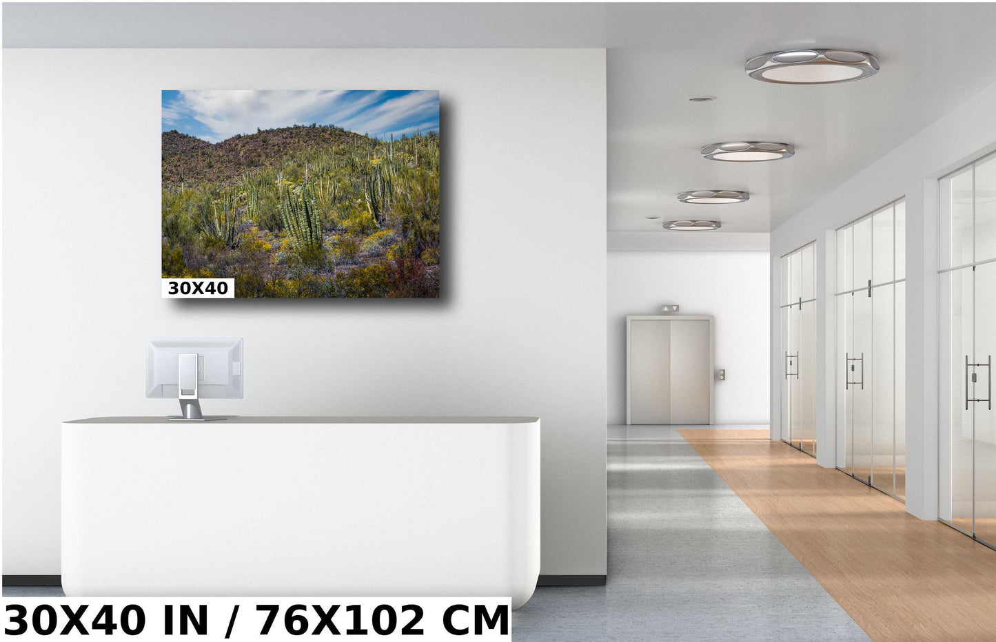 Desert Bouquet: Tiger Tailed Organ Pipe National Monument Cactus and Springtime Wildflowers Wall Art