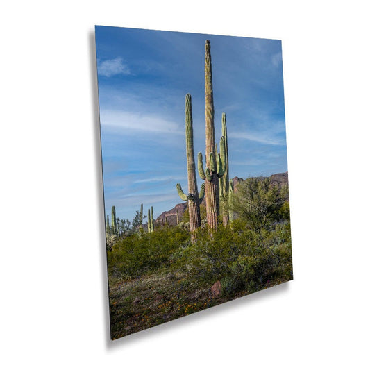 Arizona Poppies: Picacho Peak Wildflower Landscape Photography Wall Art