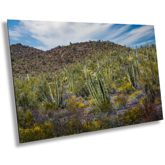 Desert Bouquet: Tiger Tailed Organ Pipe National Monument Cactus and Springtime Wildflowers Wall Art