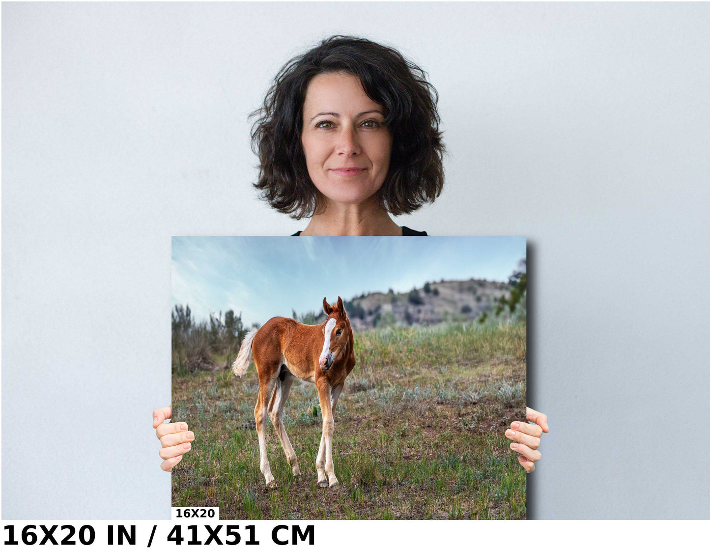 Wild Horse Foal Theodore Roosevelt National Park Photography Wall Art