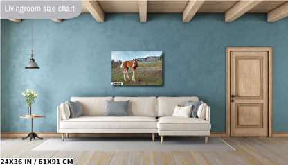 Wild Horse Foal Theodore Roosevelt National Park Photography Wall Art