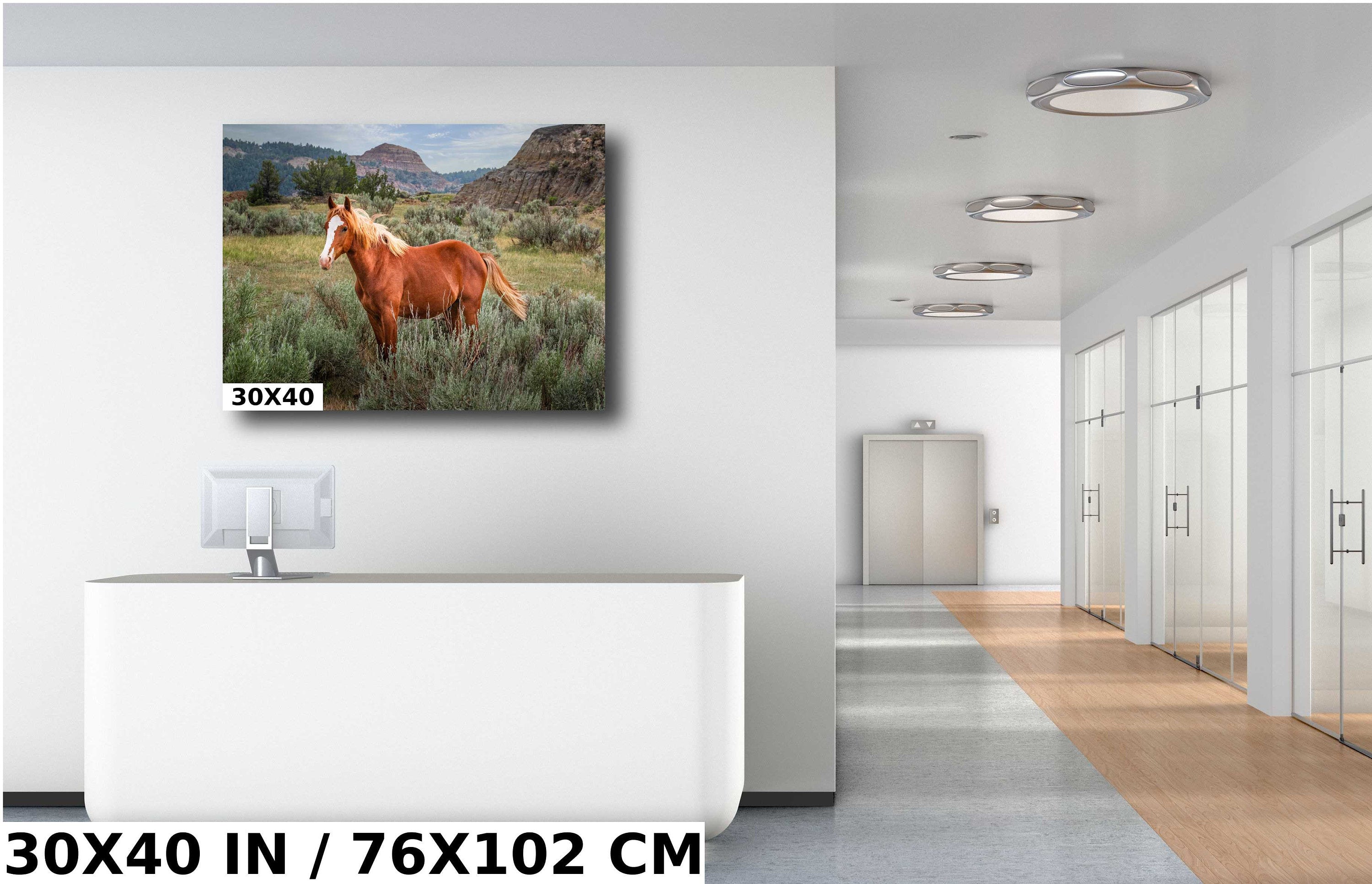 Wild Stallion Theodore Roosevelt National Park Photography Wall Art