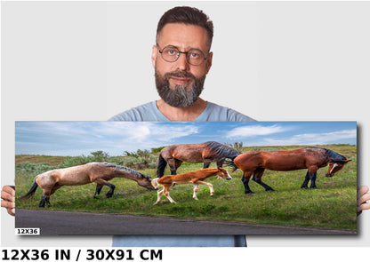 Prairie Generations: Horse Family Grazing in Theodore Roosevelt Park Metal Acrylic Print North Dakota Wall Art