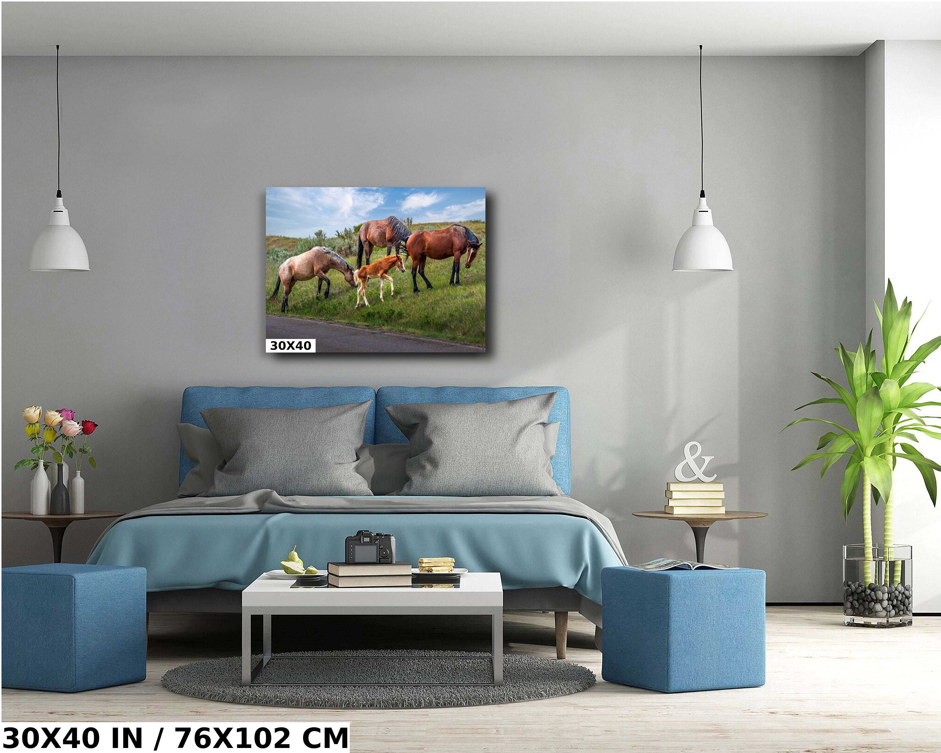 Theodore Roosevelt Park Horse Family: North Dakota Photography Wall Art