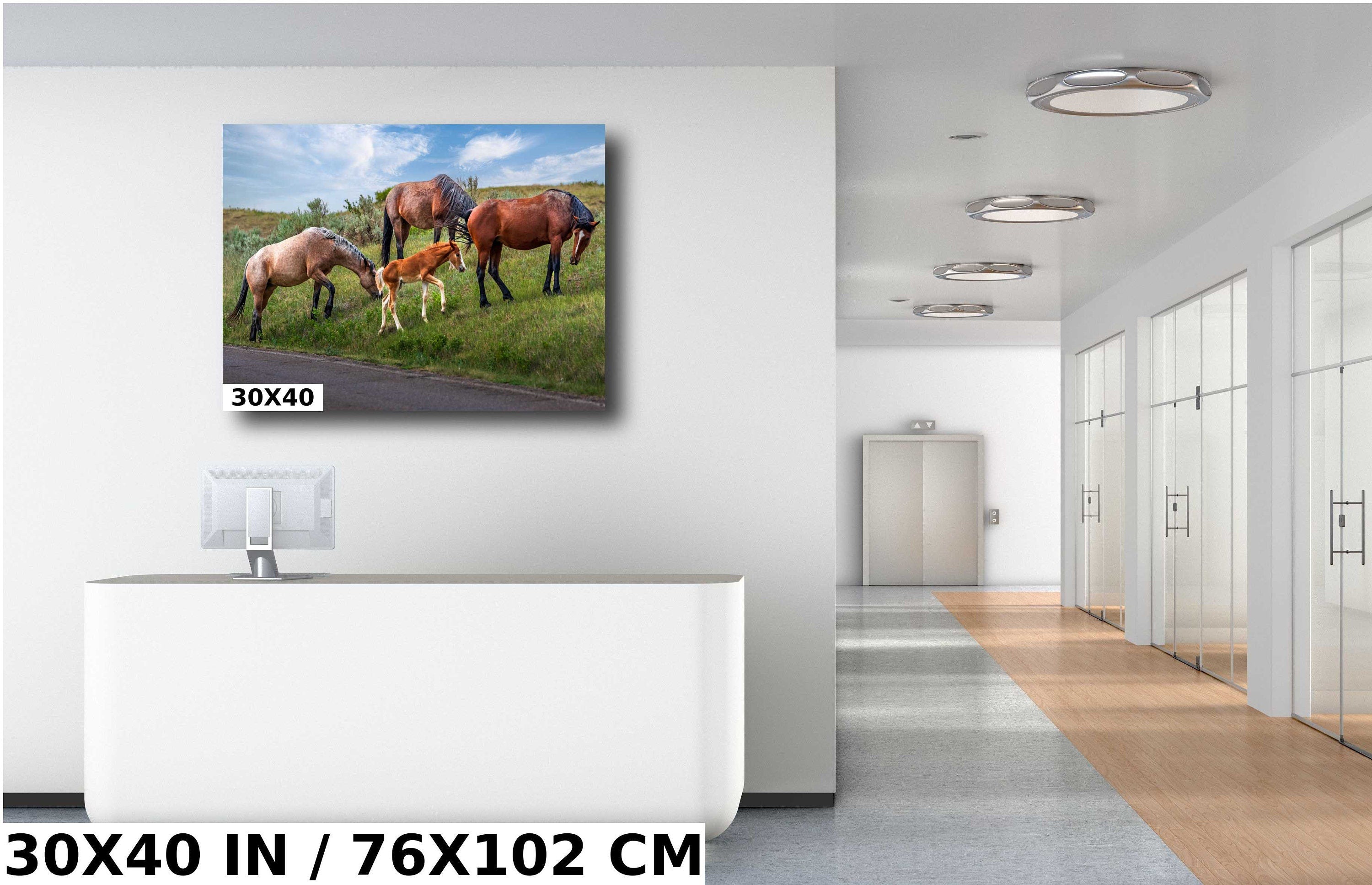 Theodore Roosevelt Park Horse Family: North Dakota Photography Wall Art