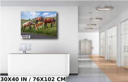 Prairie Generations: Horse Family Grazing in Theodore Roosevelt Park Metal Acrylic Print North Dakota Wall Art