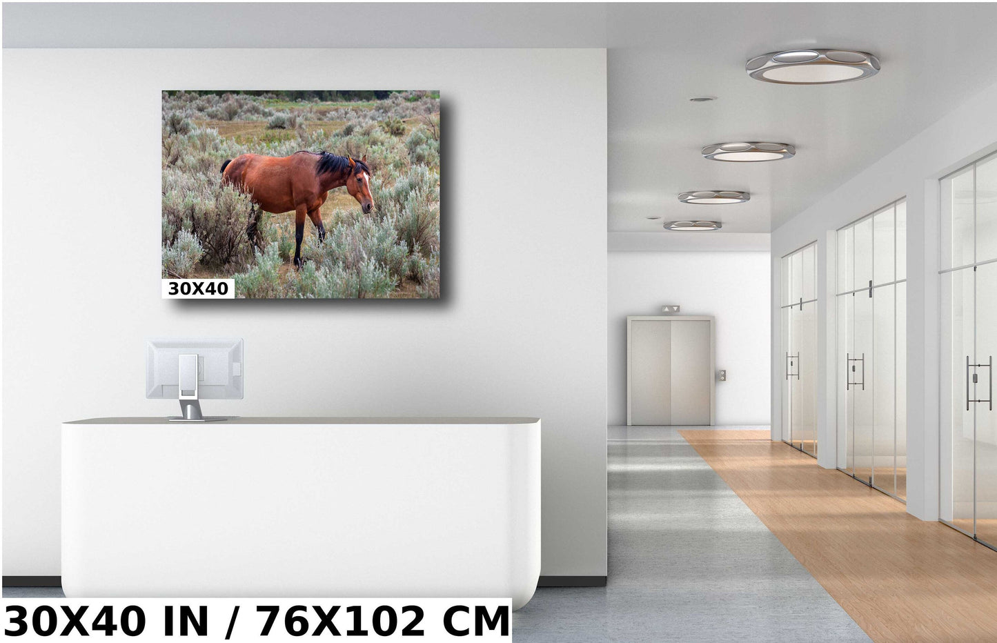 Wild Stallion: Theodore Roosevelt National Park Photography Wall Art