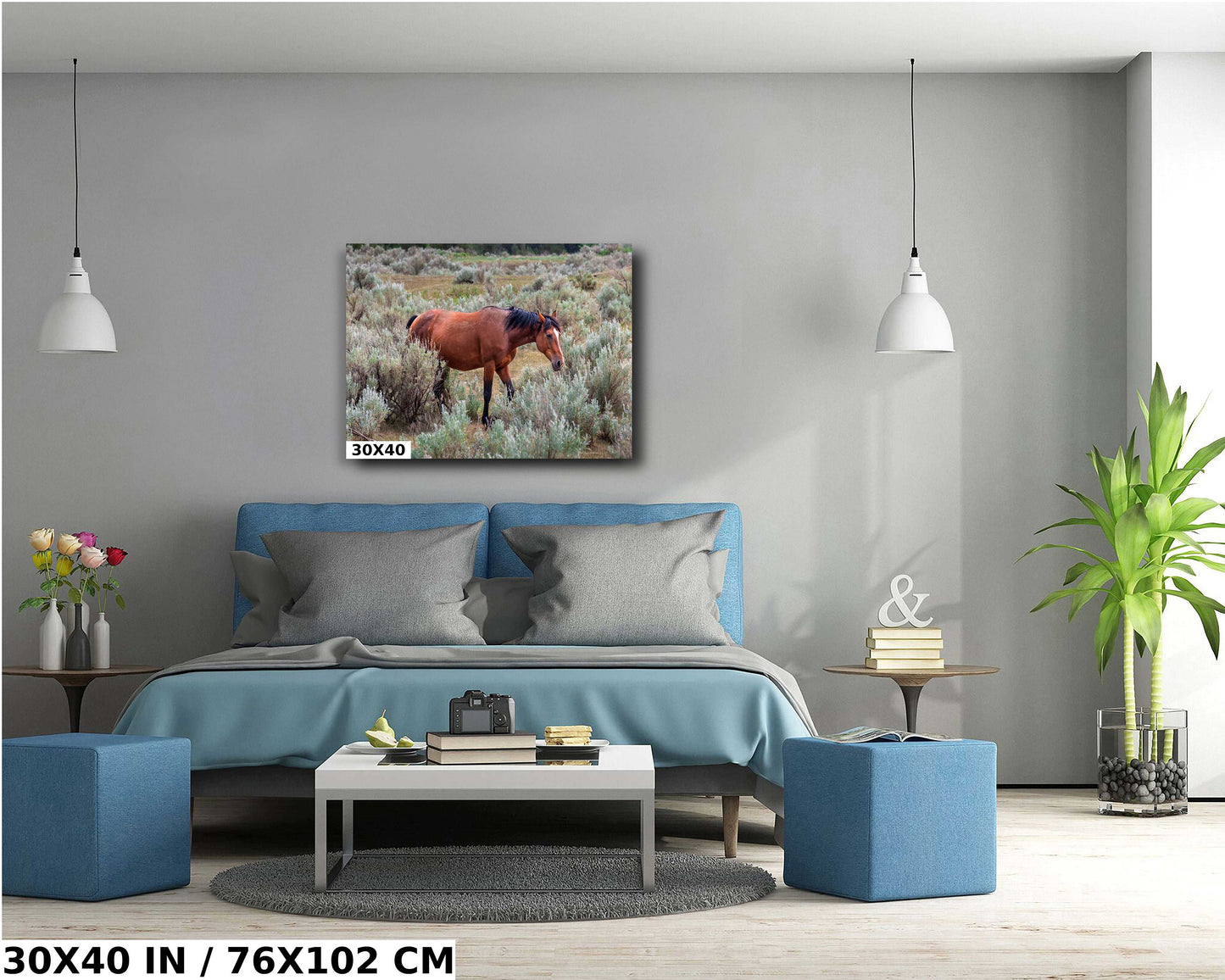 Wild Stallion: Theodore Roosevelt National Park Photography Wall Art
