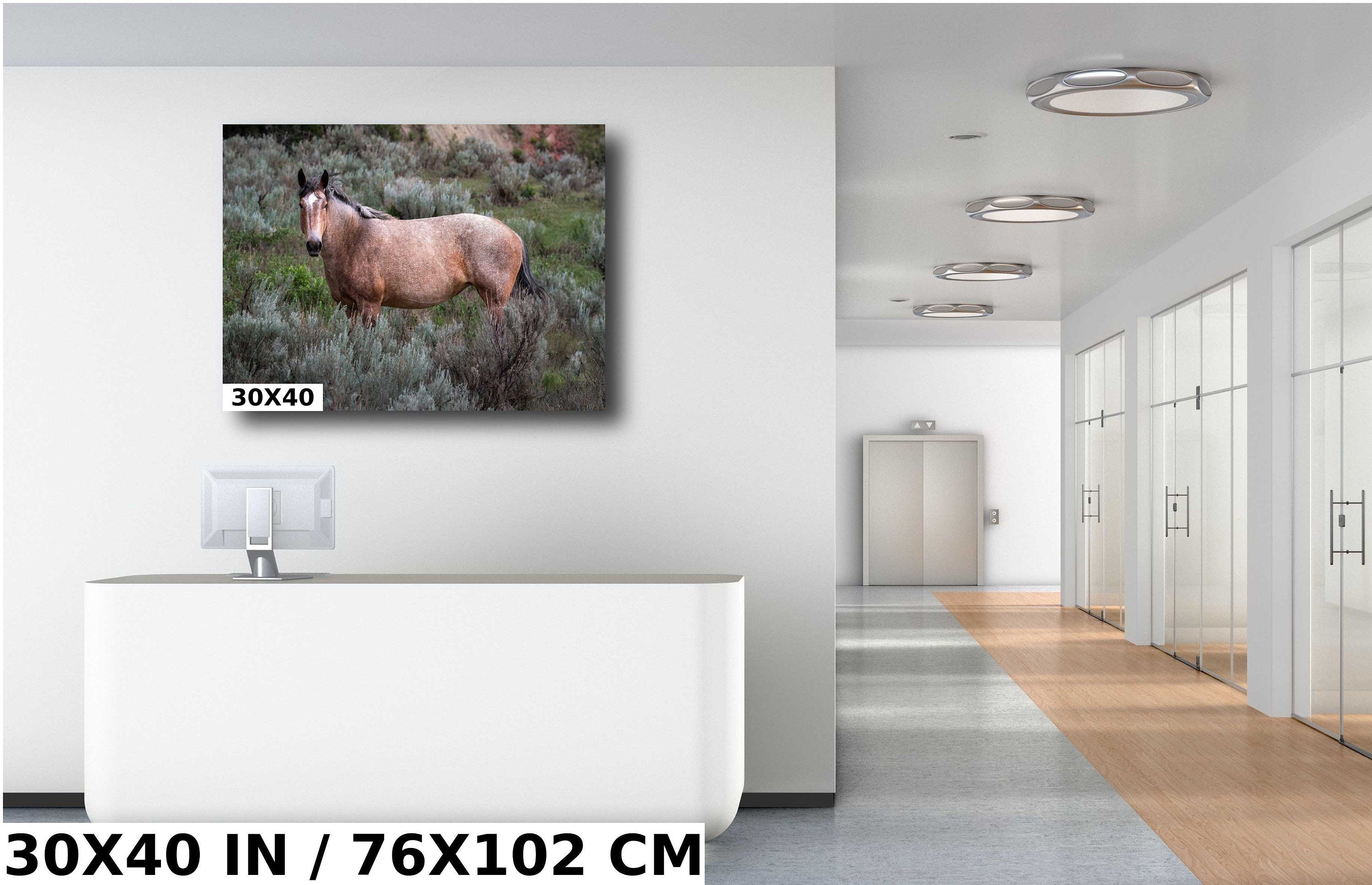 Wild Stallion Theodore Roosevelt Park, North Dakota Photography Wall Art