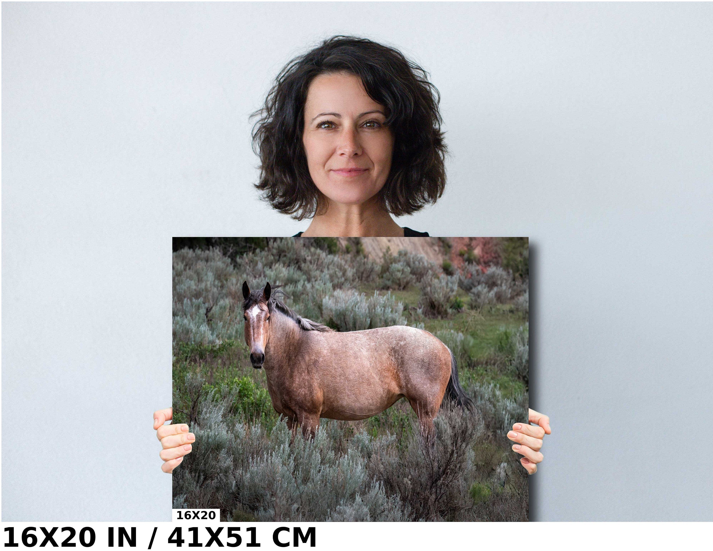 Wild Stallion Theodore Roosevelt Park, North Dakota Photography Wall Art