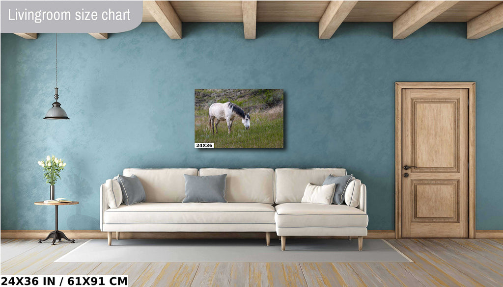 White Horse in Theodore Roosevelt National Park Photography Wall Art