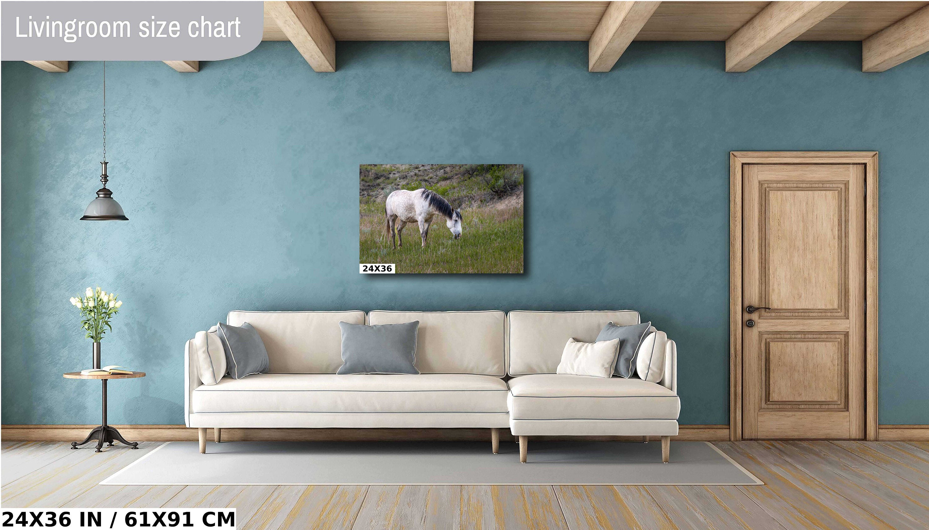 White Horse in Theodore Roosevelt National Park Photography Wall Art