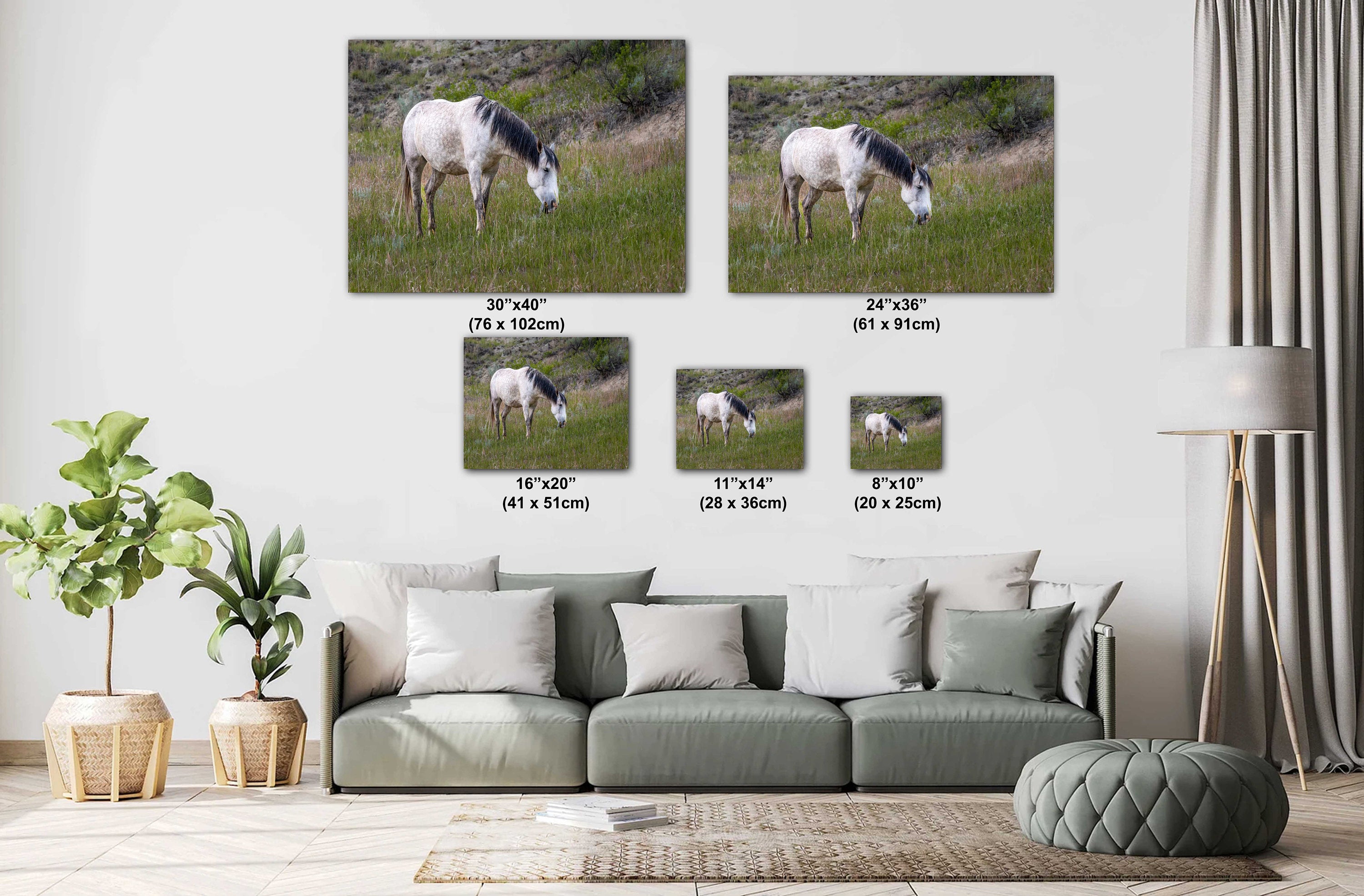 White Horse in Theodore Roosevelt National Park Photography Wall Art