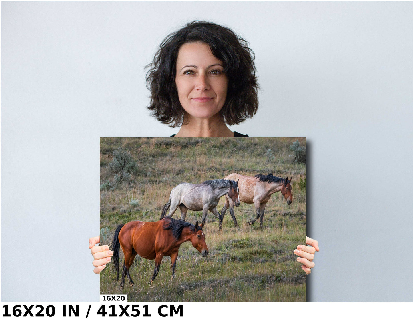 Prairie Trio: Horses in Perfect Step at Theodore Roosevelt Park National Park Metal Acrylic Print North Dakota Wall Art
