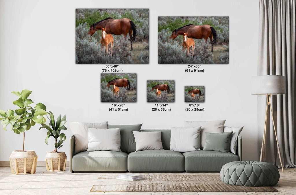 Wild Horses Theodore Roosevelt National Park Photography Wall Art
