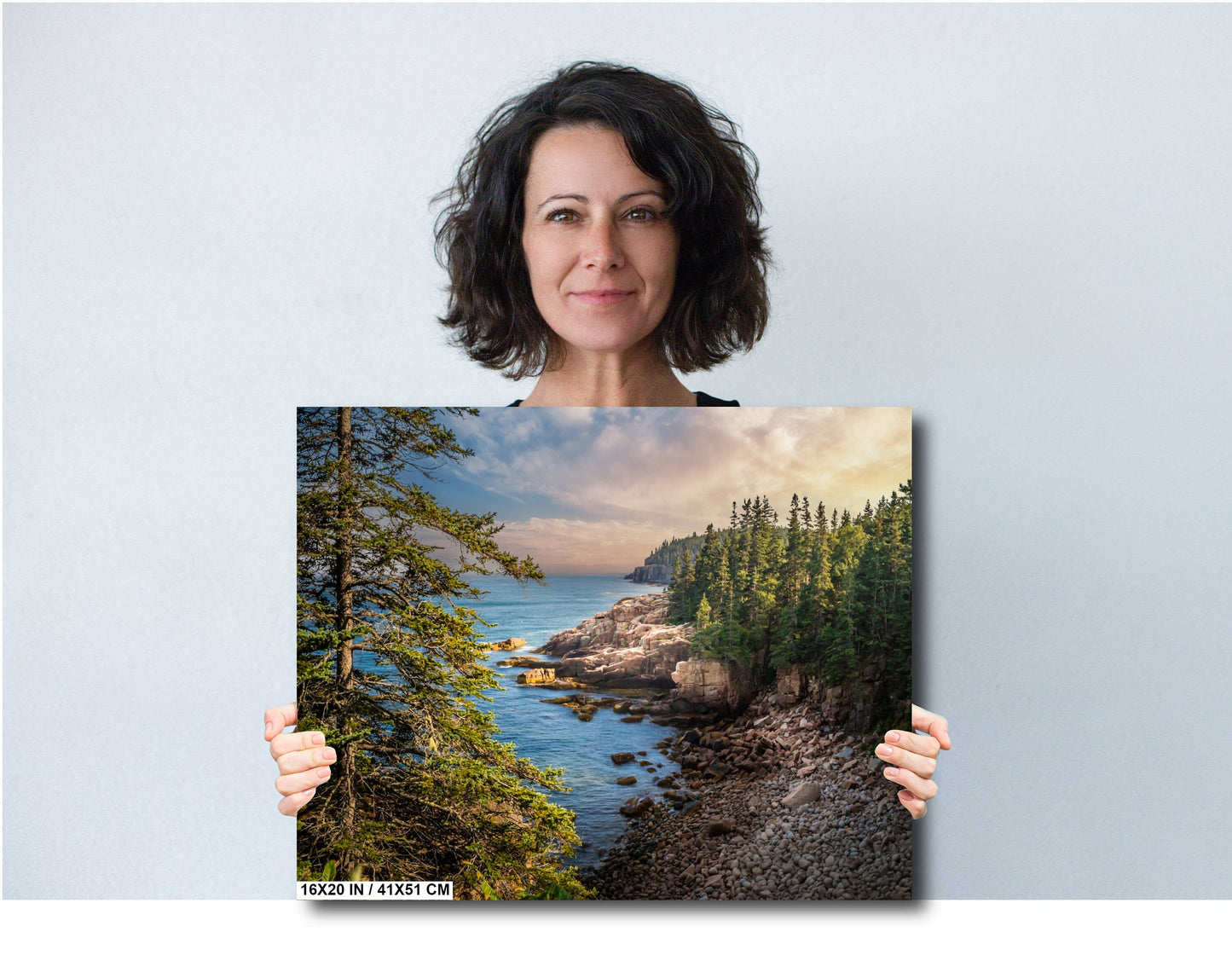 Acadia National Park Wall Art - Green Trees Framing Monument Cove Lake Landscape Photography