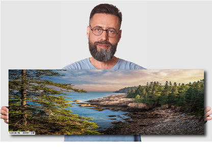 Acadia National Park Wall Art - Green Trees Framing Monument Cove Lake Landscape Photography