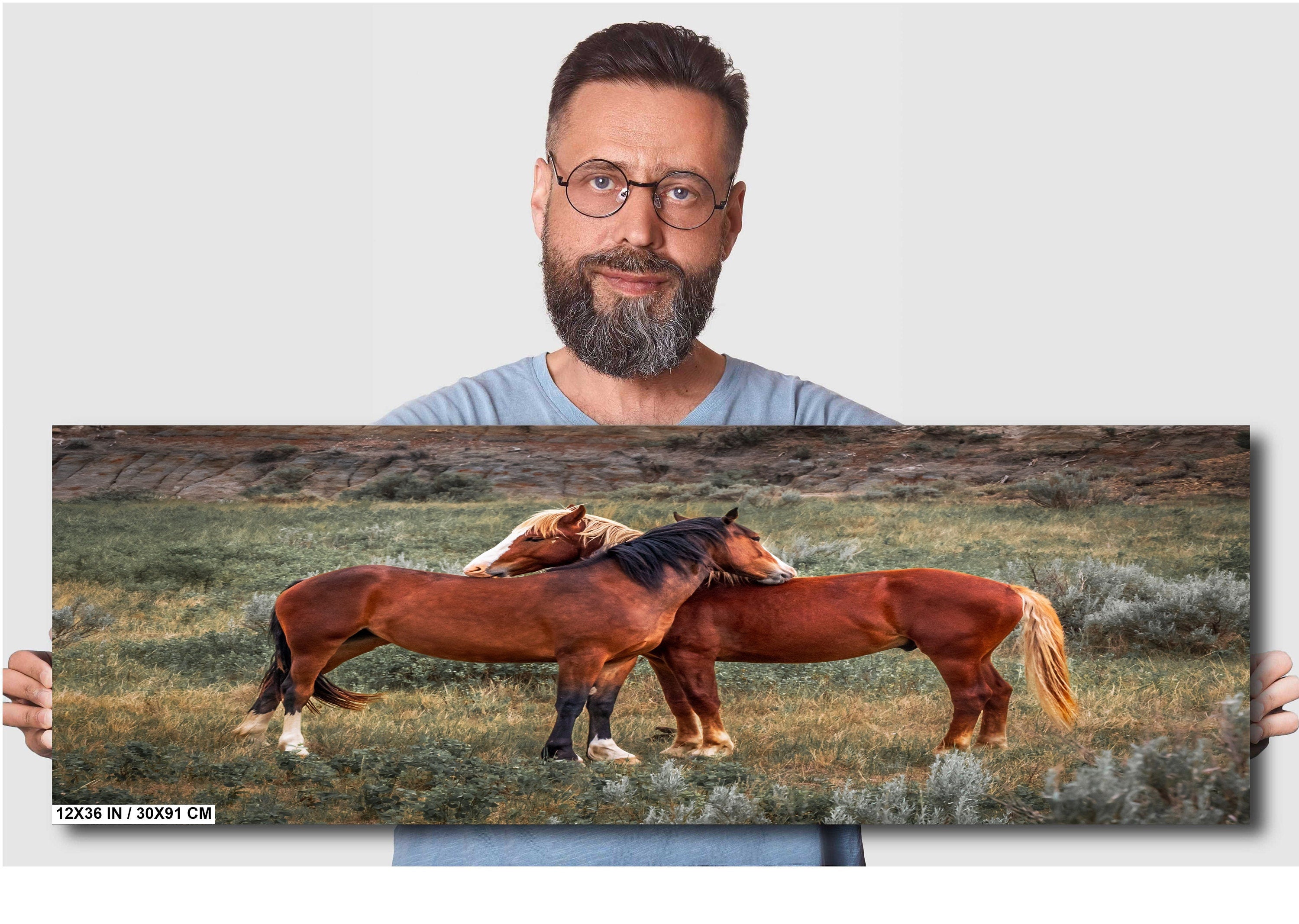 Mare and Stallion: Theodore Roosevelt Park Horse Photography Wall Art