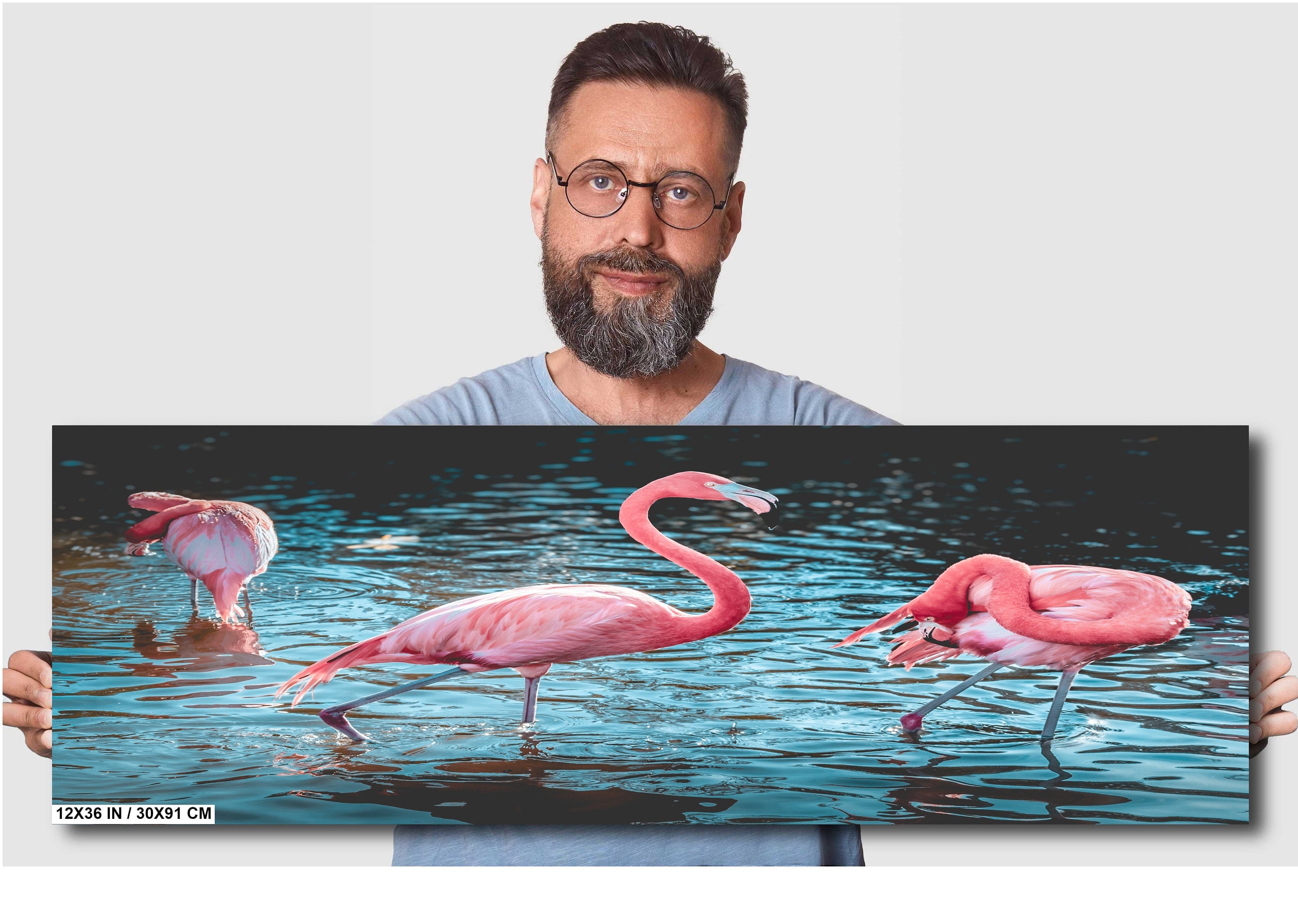 Bird Bath Time: Three Pink Flamingos Posing in the Water Wall Art Metal Canvas Print Bird Photography