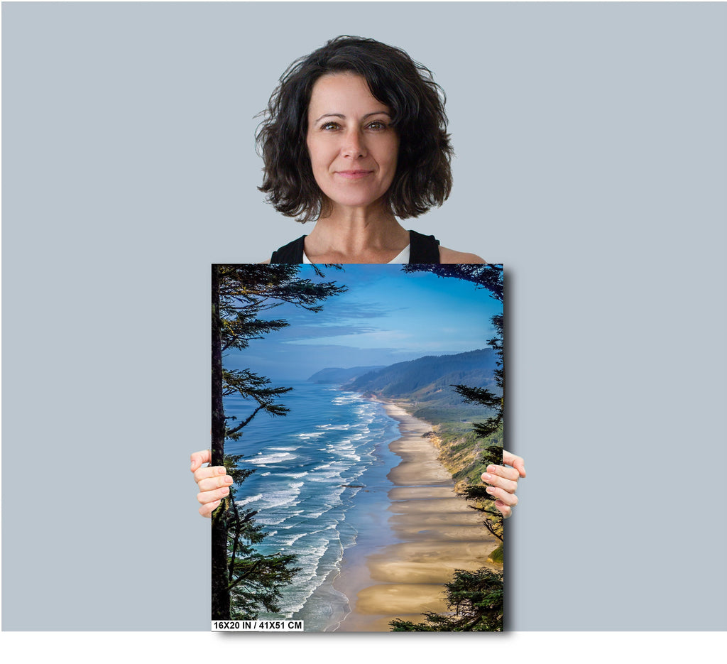 Oregon Shoreline Serenity: Hobbit Beach from Forest Canopy Wall Art Print Florence Photography