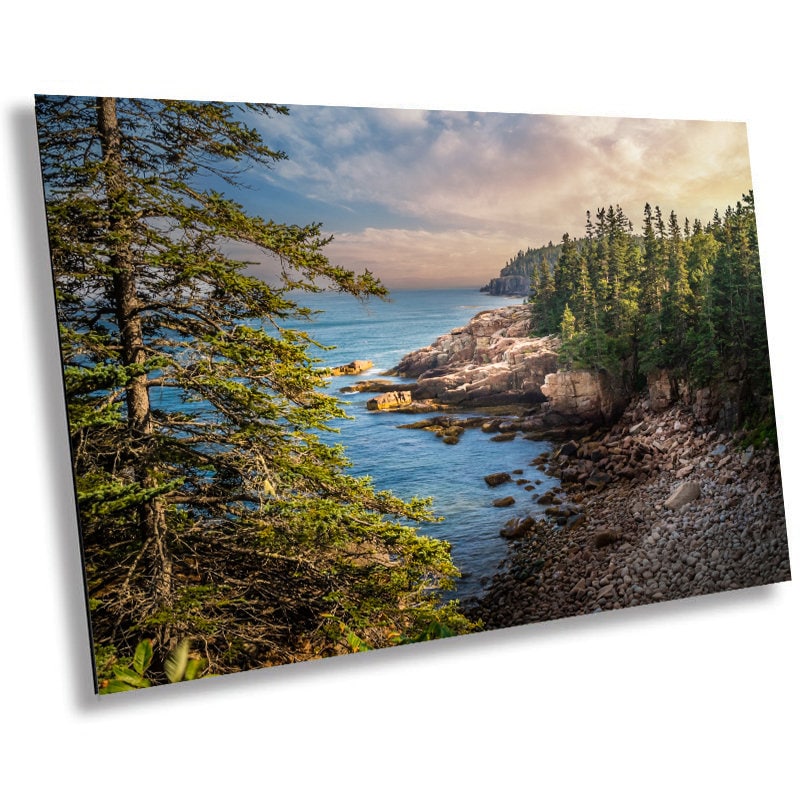 Acadia National Park Wall Art - Green Trees Framing Monument Cove Lake Landscape Photography