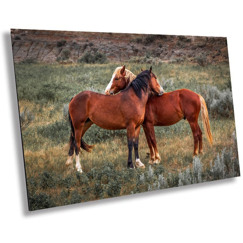 Mare and Stallion: Theodore Roosevelt Park Horse Photography Wall Art