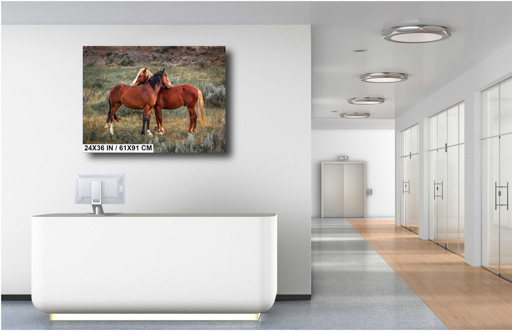Mare and Stallion: Theodore Roosevelt Park Horse Photography Wall Art