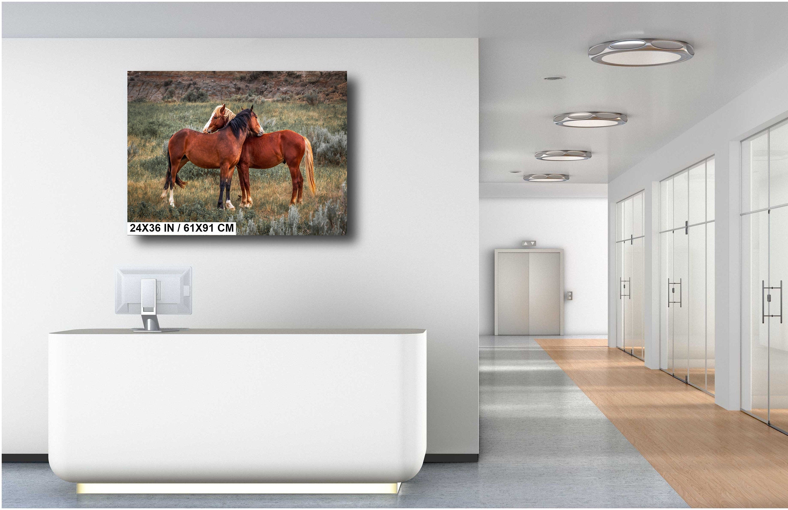 Mare and Stallion: Theodore Roosevelt Park Horse Photography Wall Art