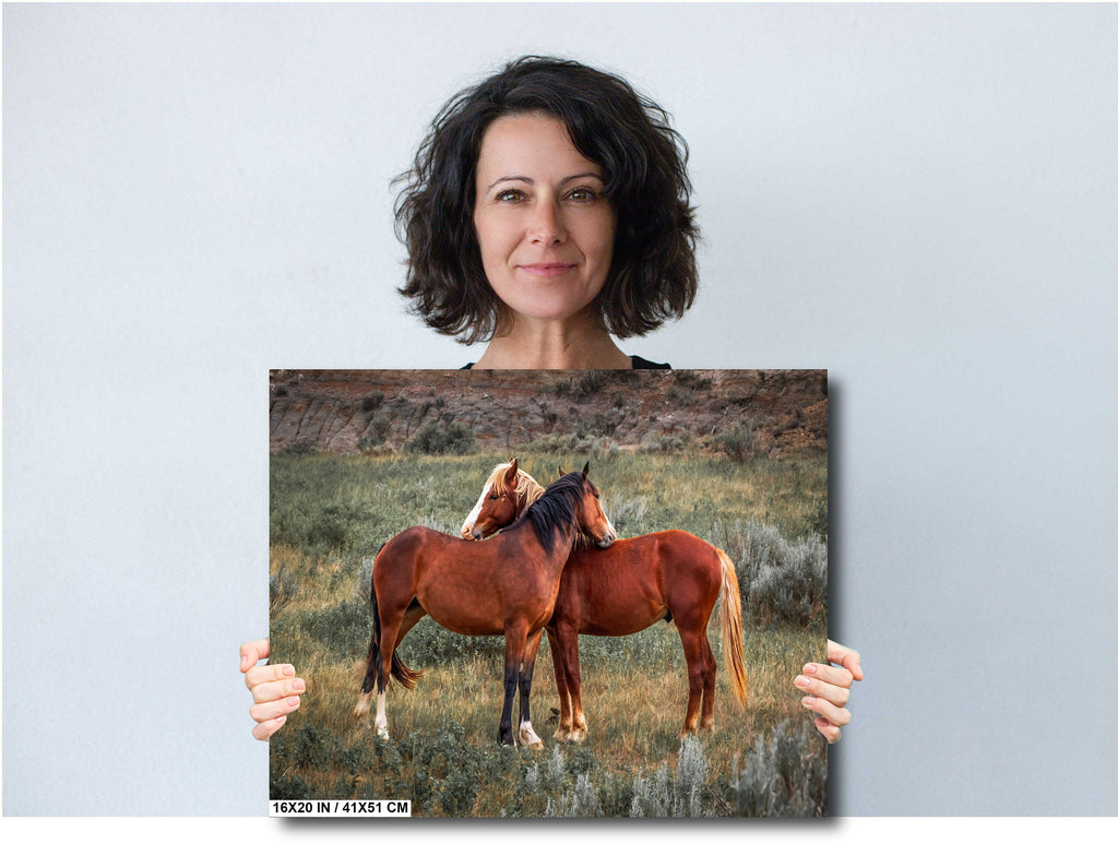 Mare and Stallion: Theodore Roosevelt Park Horse Photography Wall Art