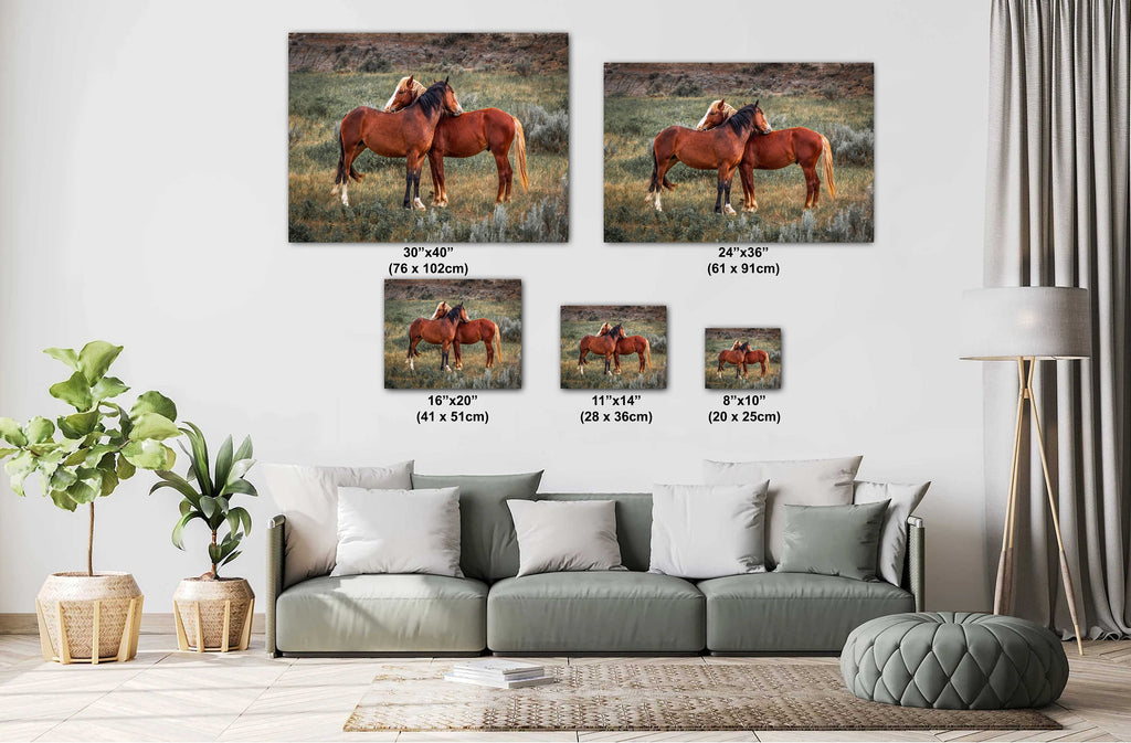 Mare and Stallion: Theodore Roosevelt Park Horse Photography Wall Art